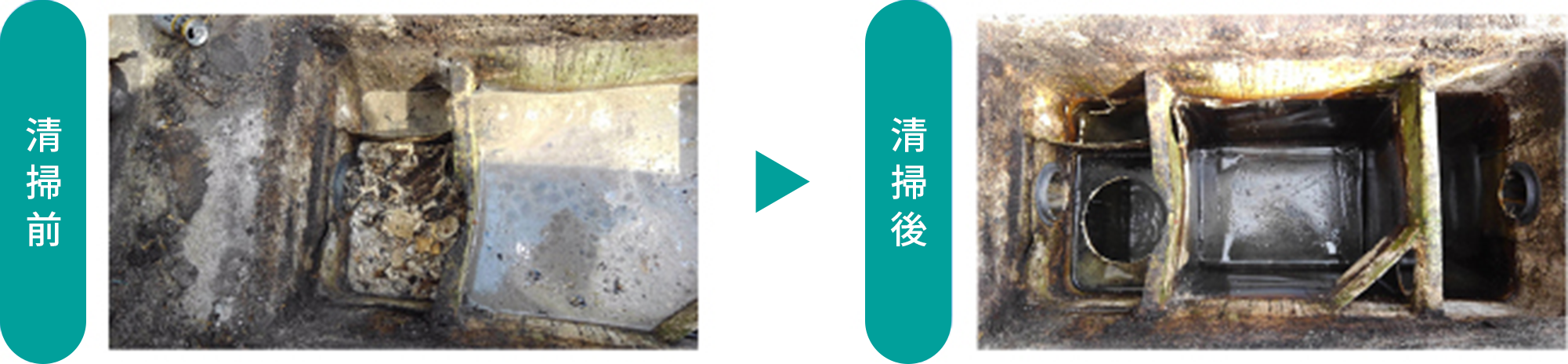 グリストラップ清掃 before after